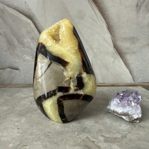 Septarian / Drakägg, Freeform