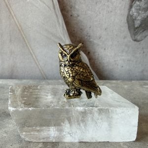 Uggla i mässing, visdom, intuition och klarseende