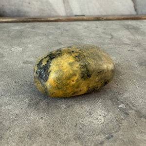 Bumble bee jaspis, trumlad (B)