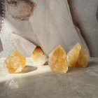 img_8851-2