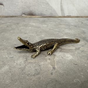 Krokodil i mässing, urkraft, överlevnad & djup intuition