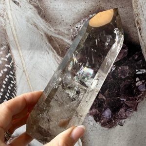 Lemurian Rökkvarts, torn AAA (B)