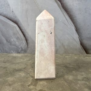 Unicorn jasper, torn (D)