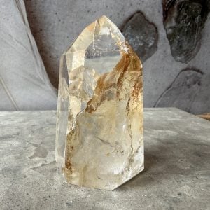 Golden healer, torn AA (B)