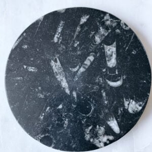 Fossil i marmorerad sten, platta