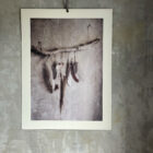 The Power of Feathers, poster 50x70 cm