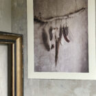 The Power of Feathers, poster 50x70 cm