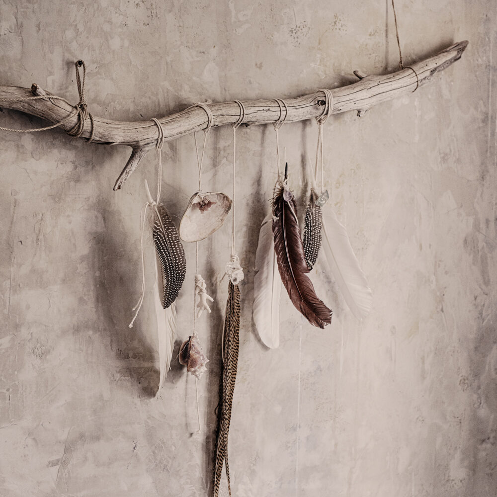 The Power of Feathers, poster 50x70 cm