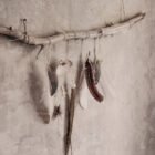 The Power of Feathers, poster 50x70 cm