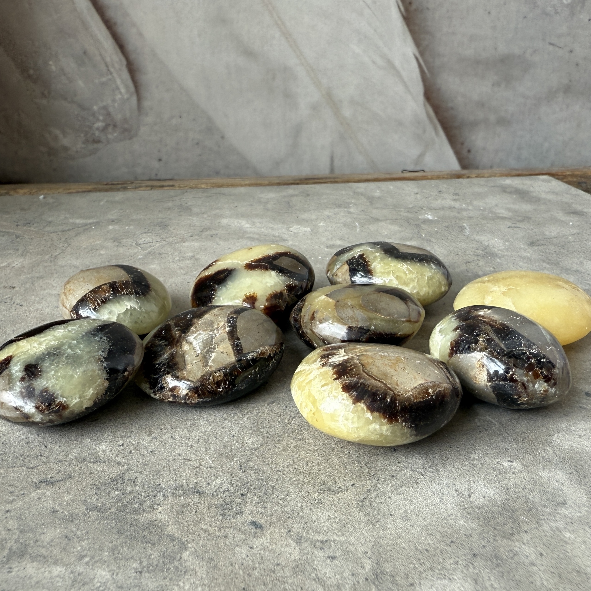 Septarian / Drakägg, trumlad / mini palmstone